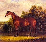 John F Herring Negotiator, the Bay Horse in a Landscape oil painting